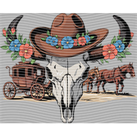 Country music-CU 865